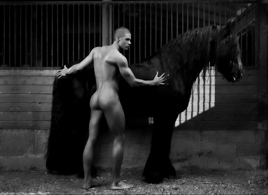 Horse hung men - 🧡 I LOVE HORSE COCK.